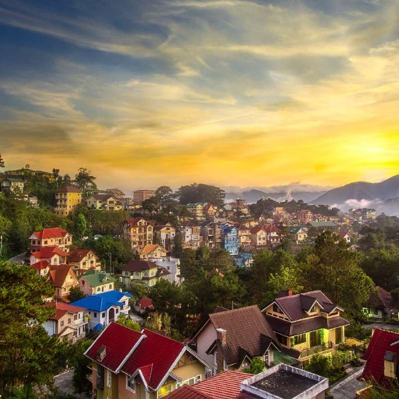 Baguio pine trees and cool highlands