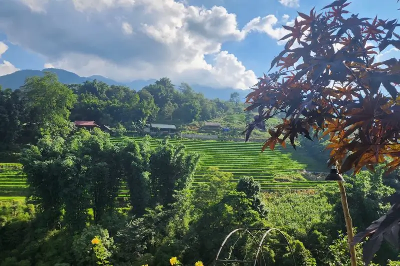 sapa vietnam