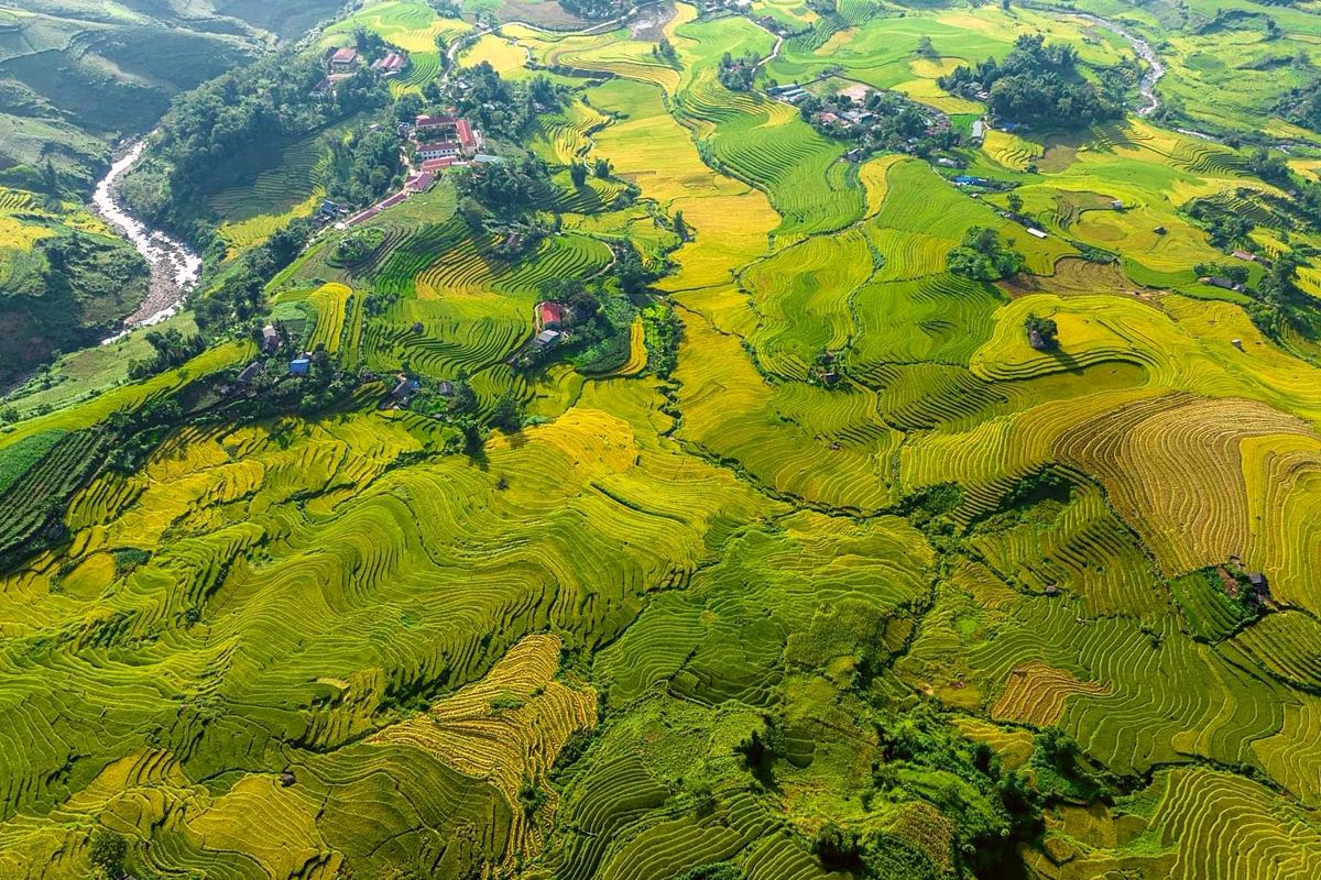 Sawah bertingkat di Sapa, Vietnam Utara