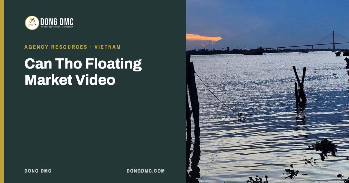 Can Tho Floating Market Video