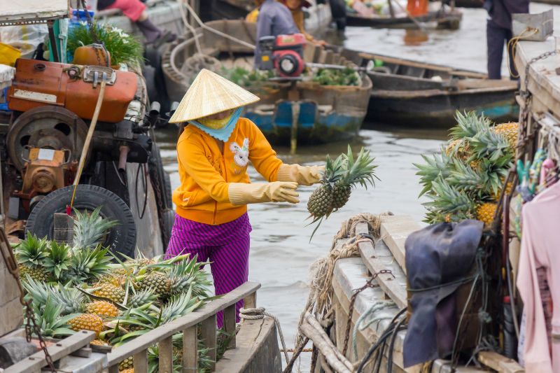Tiền Giang: Gateway to Vietnam’s Mekong Delta for Travel Pros