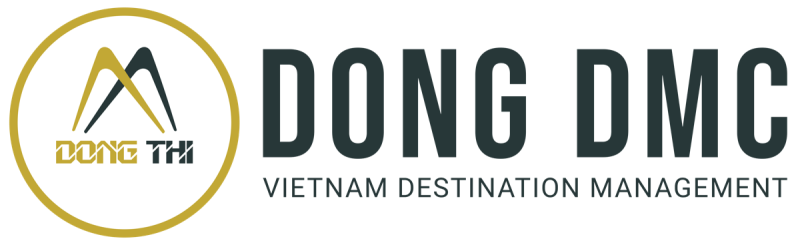 Dong DMC logo for light backgrounds