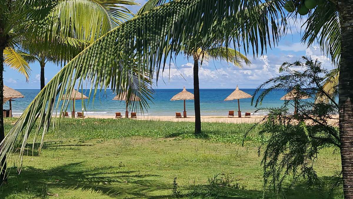 Thatched beach umbrellas and palms on a quiet beach, Phu Quoc
