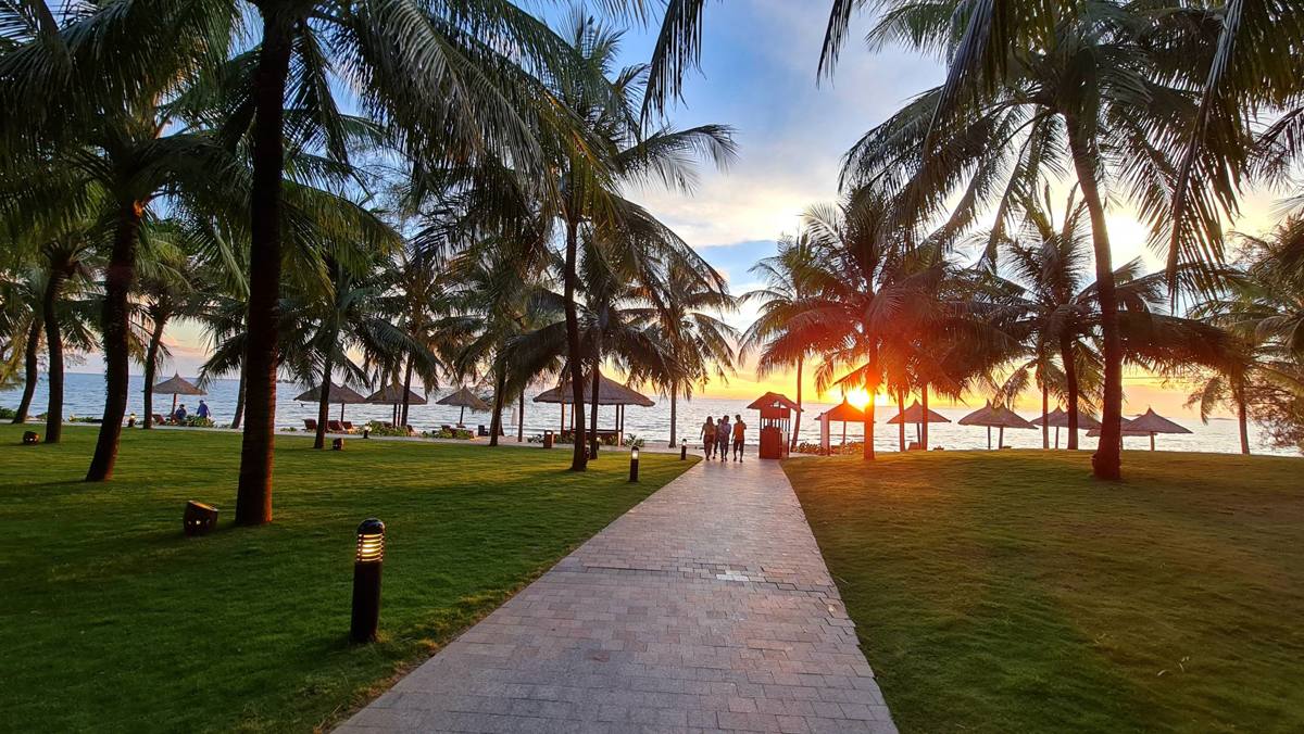 Sunset over the sea through palm trees at a west-coast resort, Phu Quoc