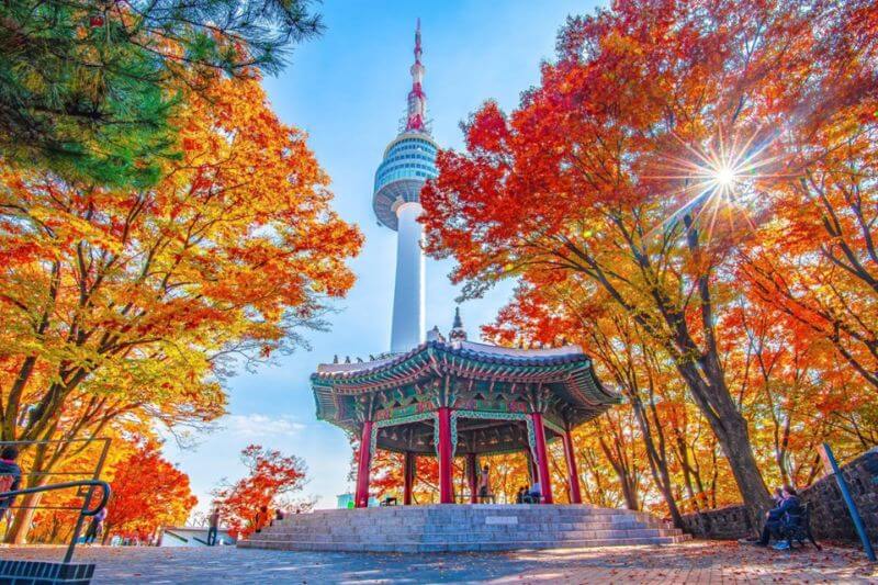 DT4 - VJ - Tour Hàn Quốc: Seoul - Nami
