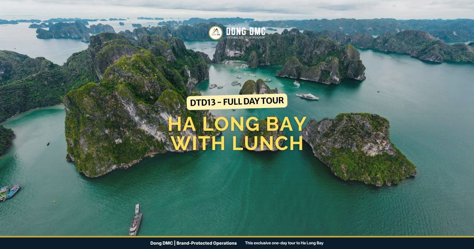 DTD13 - Full day tour Ha Long Bay with lunch